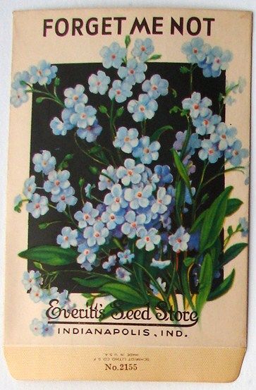 forget-me-not-seed-packet