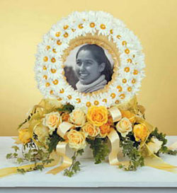 daisy sympathy arrangement