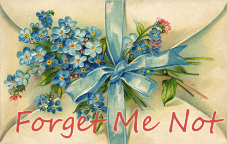 vintage forget me not postcard