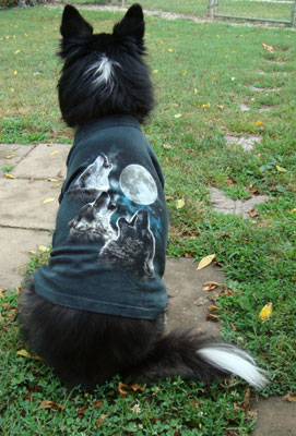 wolf howling t shirt