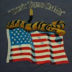Vintage patriotic postcard