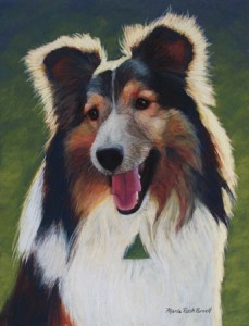 Collie painting