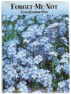 vintage forget me not seed packet