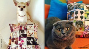 Pet Memorial Pillow