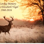 deer cremation urn
