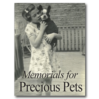 pet urns for ashes