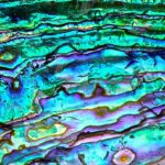 mother of pearl abalone nacre