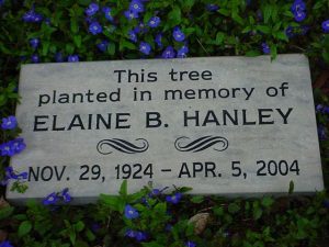 tree dedication marker stone