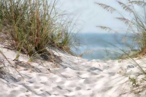 beach trail