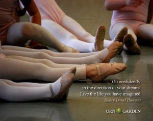 inspirational quote live your dream