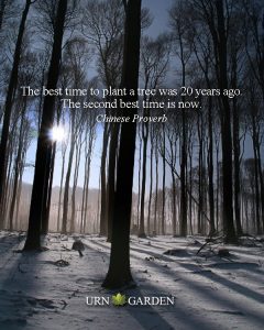 inspirational quote do it now