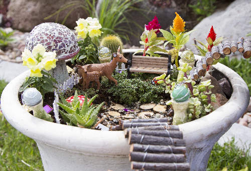 fairy garden