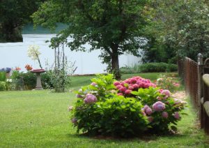 backyard memory garden