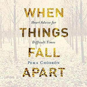 When Things Fall Apart audio book