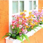 window box flowers