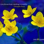 inspirational motivational quotes for hope