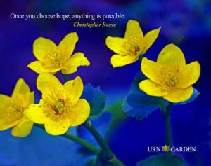inspirational motivational quotes for hope