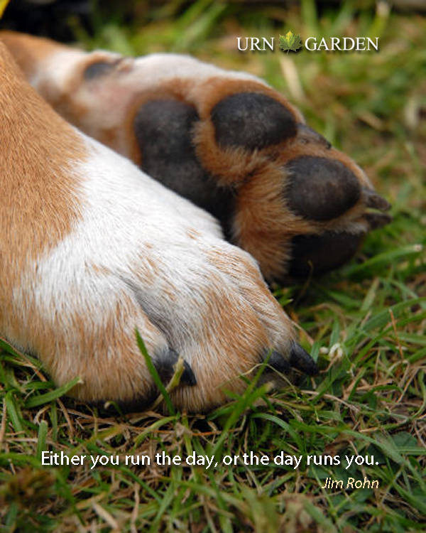 run the day inspirational motivational quote