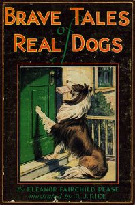 Brave Tales of real dogs book