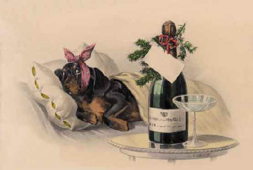 vintage new years postcard dog