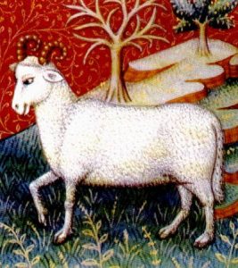 aries ram astrology zodiac