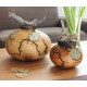 Biodegradable Gourd Adult Urn Made in USA Biodegradable Gourd Urn Made in USA