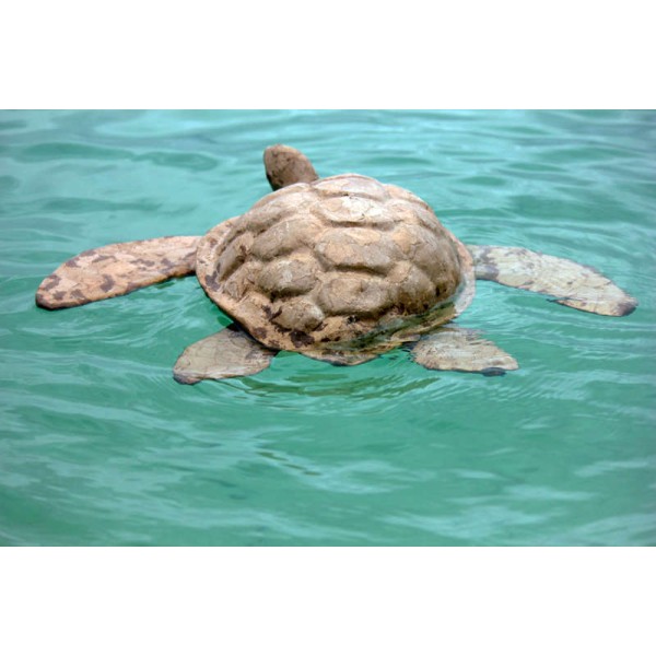 Biodegradable Turtle Urn for Water Burial