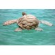 Biodegradable Paper Turtle Urn for Water Burial