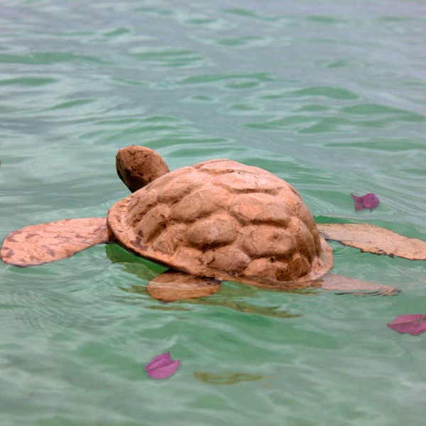 Biodegradable Turtle Urn for Water Burial Biodegradable Turtle Urn for Water Burial