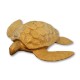 Biodegradable Turtle Urn for Water Burial