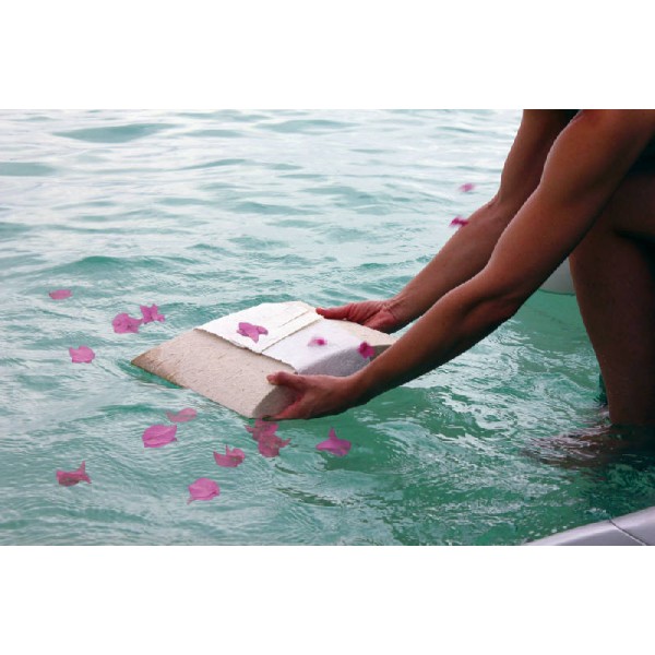 Memorial Flower Petals for Ash Scattering Memorial Flower Petals for Ash Scattering