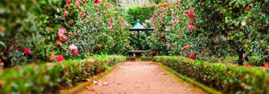Memorial Gardens Promote Love and Healing Memorial Gardens Promote Love and Healing