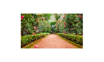 Memorial Gardens Promote Love and Healing