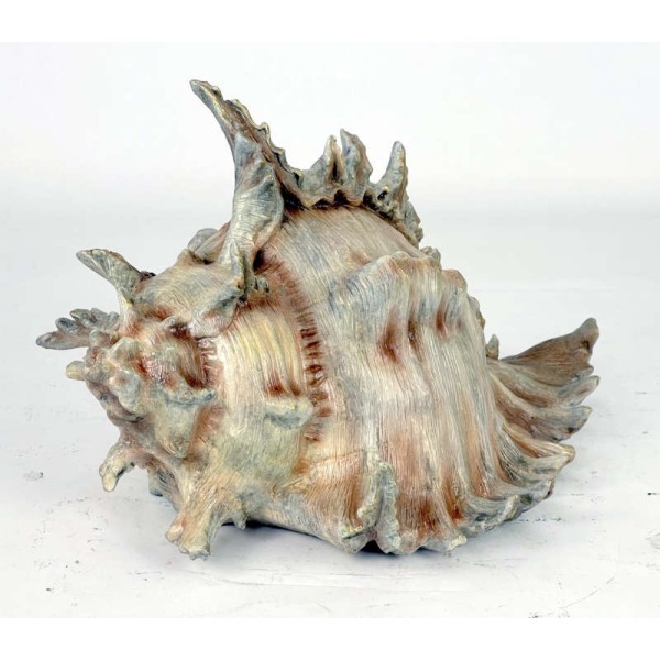 Bronze Sea Shell Cremation Urns Made in USA Bronze Sea Shell Cremation Urns