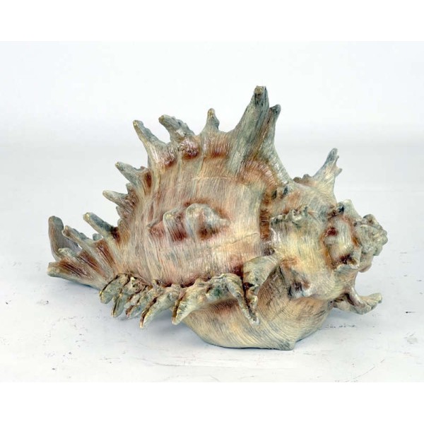 Bronze Sea Shell Cremation Urns Made in USA Bronze Sea Shell Cremation Urns