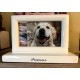 Dog Photo Urn White