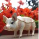 small pig urn for ashes small pig urn for ashes