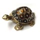 Small Turtle Urn Turtle Keepsake Cremation Urn