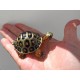 Small Turtle Urn Turtle Keepsake Cremation Urn