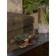 Sea Turtle Bronze Cremation Urn Made in USA Sea Turtle Bronze Cremation Urn
