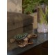 Sea Turtle Bronze Cremation Urn