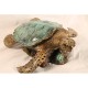 Sea Turtle Bronze Cremation Urn Made in USA Sea Turtle Bronze Cremation Urn