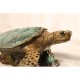 Sea Turtle Bronze Cremation Urn