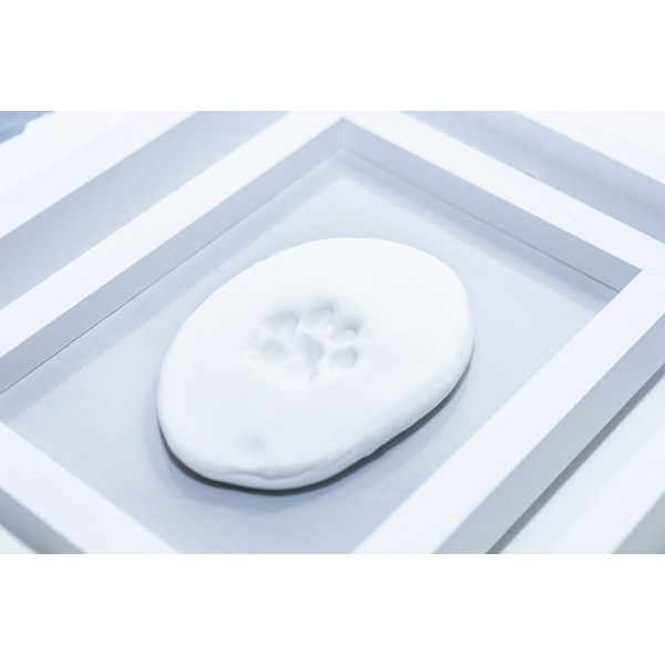 Photo Frame Paw Print Clay Memorial Kit Photo Frame Paw Print Clay Memorial Kit