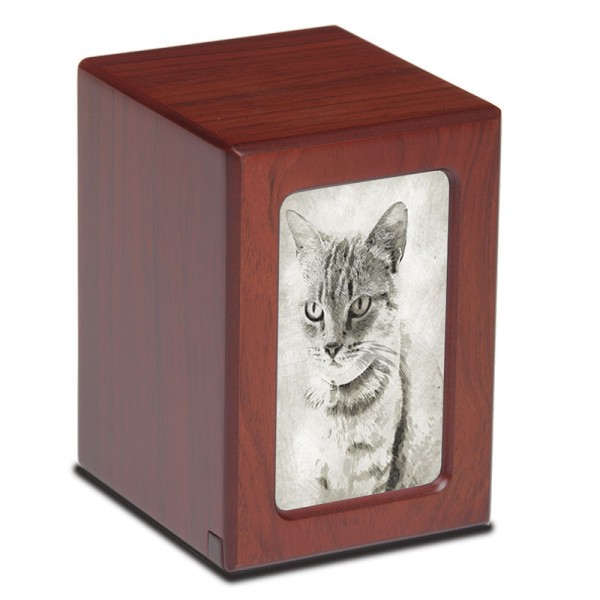 Cat Urn Photo Box for Ashes, Personalize with Your Pet