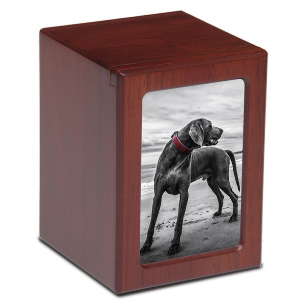 Large Dog Urn Photo Box for Ashes, Personalized for Your Pet