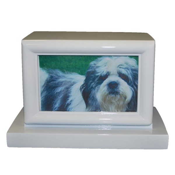 White Pet Urn Box with Photo 
