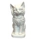 Cat Cremation Urn