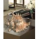 Bronze Sea Shell Cremation Urns Made in USA Bronze Sea Shell Cremation Urns