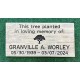 Memorial Tree Marker